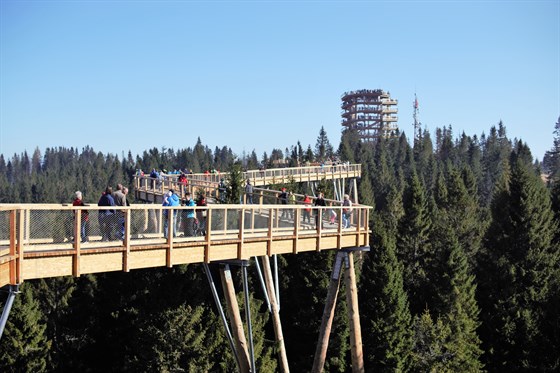 Bachledova Valley, Treetop Walk