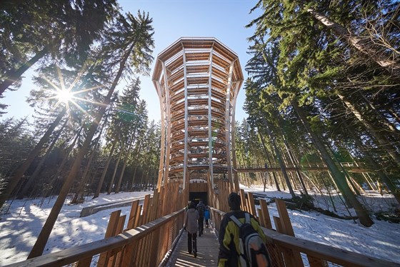 Treetop Trail of the Giant Mountains