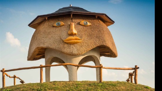Fajn park – Insect