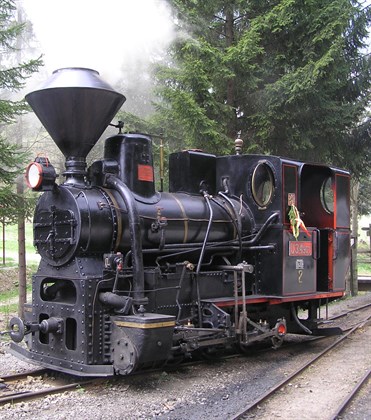 Historic Forest Railway