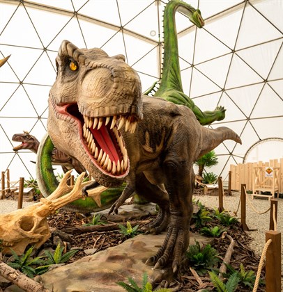 Dinopark Tatry T REX
