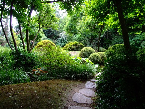 Botanická zahrada Fata Morgana  prodej ukončen